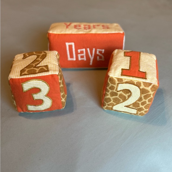 Large Baby Milestone Blocks - Picture 2 of 5